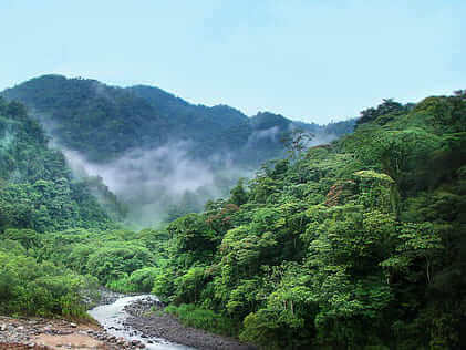 Prácticas en Costa Rica - Selva