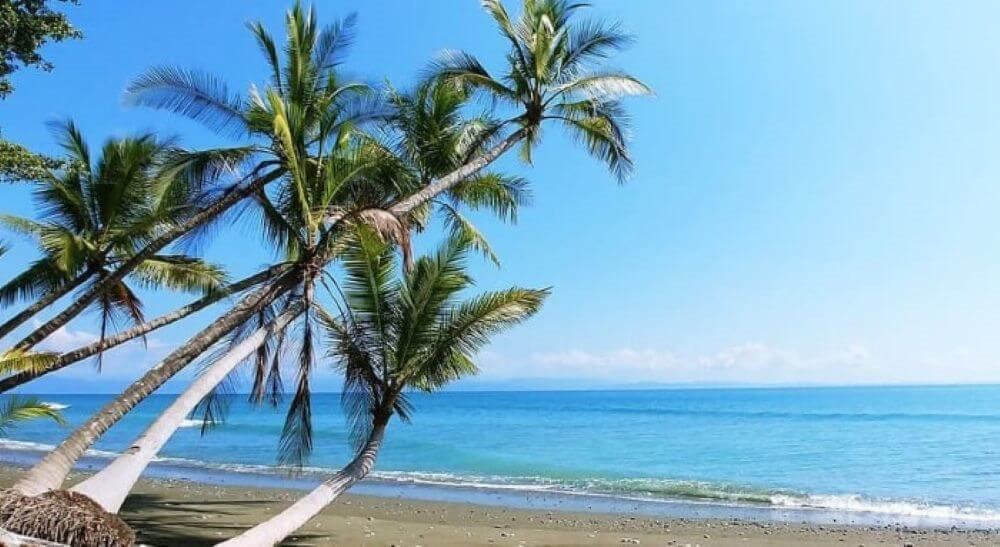 Stage au Costa Rica - Plage au Costa Rica