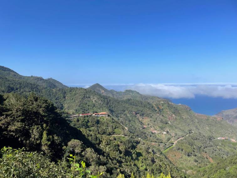 Paesaggio verde- Tenerife