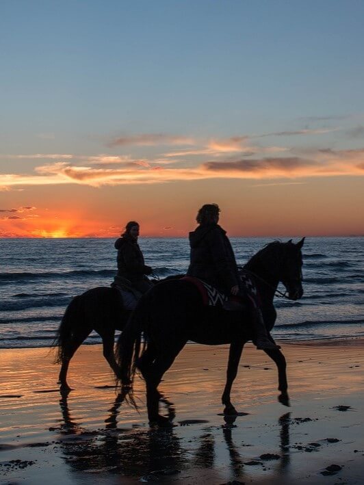 Équitation au coucher du soleil