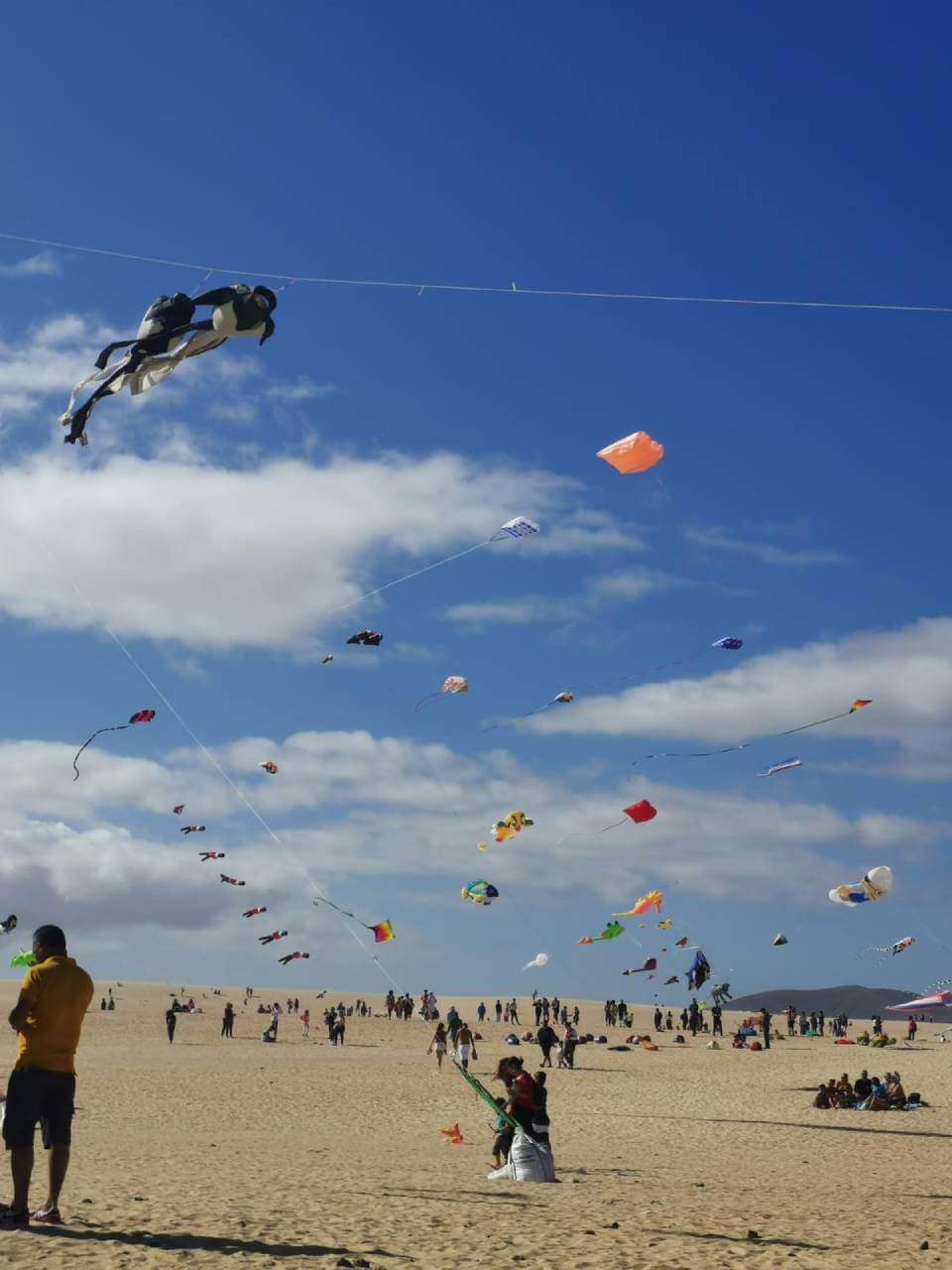 Flying kites on the beach