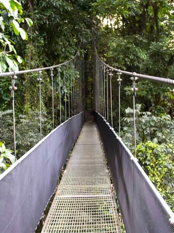 Hängebrücke Praktikum Costa Rica