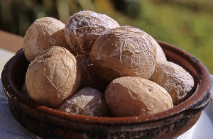 Ein Hotelpraktikant genießt einen Teller Papas arrugadas, ein traditionelles kanarisches Gericht, während seines Praktikums auf Fuerteventura.